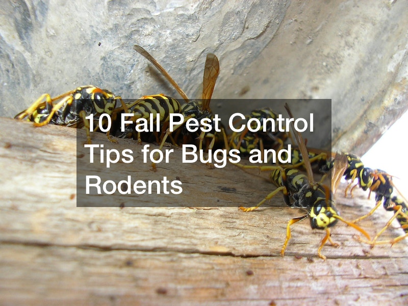 10 Fall Pest Control Tips for Bugs and Rodents Bug and Rodent Control