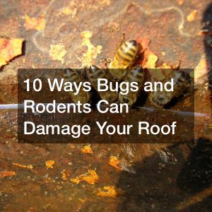 bugs and rodents can damage roofs