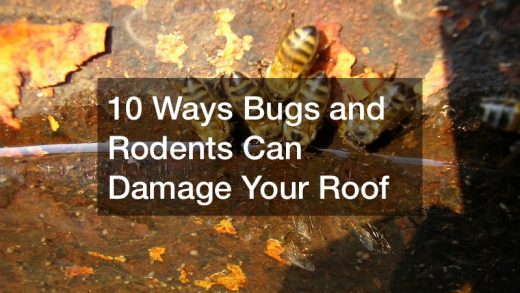 bugs and rodents can damage roofs