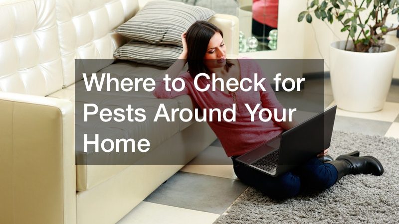 where to check for pests