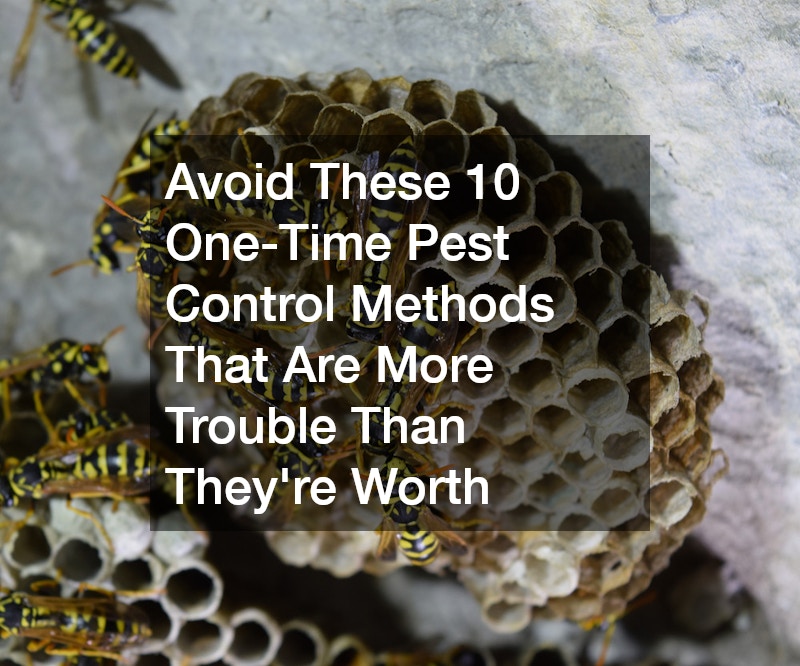 Avoid These 10 One-Time Pest Control Methods That Are More Trouble Than Theyre Worth