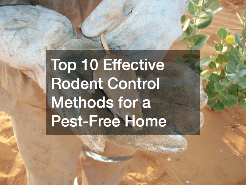 Top 10 Effective Rodent Control Methods for a Pest-Free Home