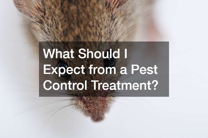 What Should I Expect from a Pest Control Treatment?