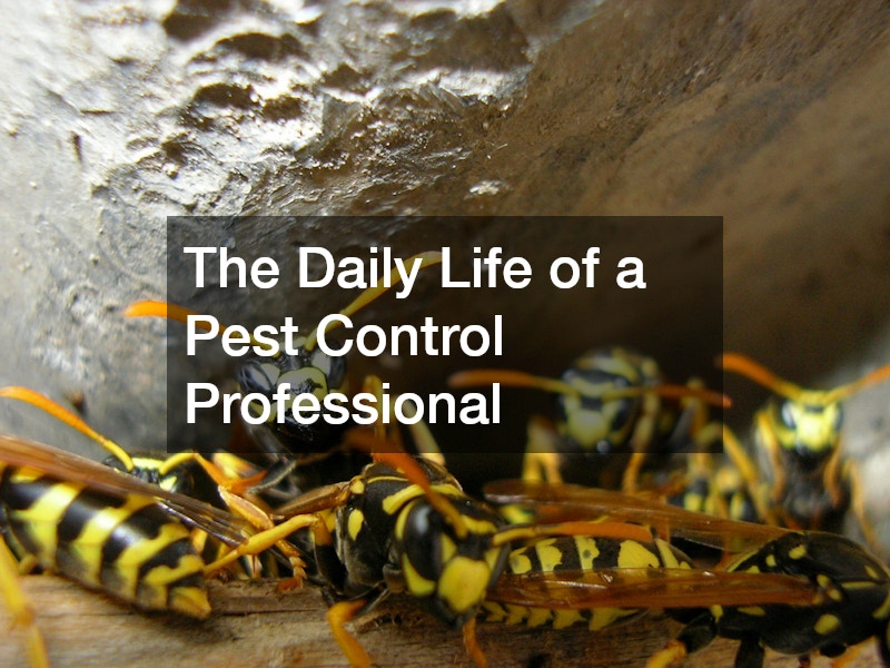 The Daily Life of a Pest Control Professional