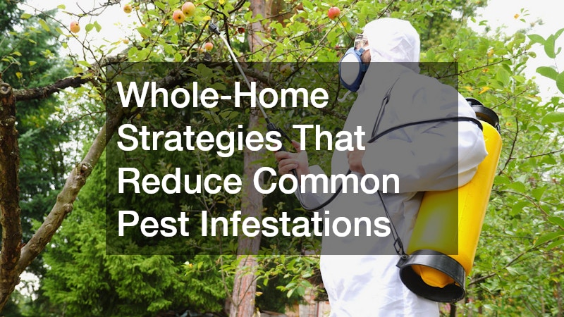 Whole-Home Strategies That Reduce Common Pest Infestations