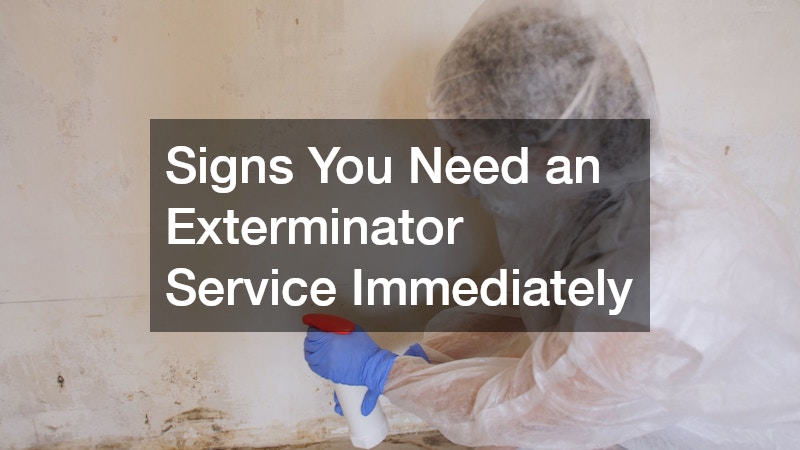 Signs You Need an Exterminator Service Immediately