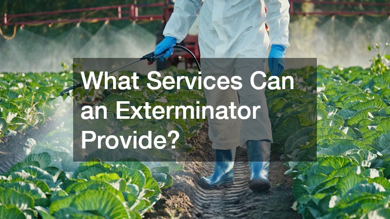 What Services Can an Exterminator Provide?