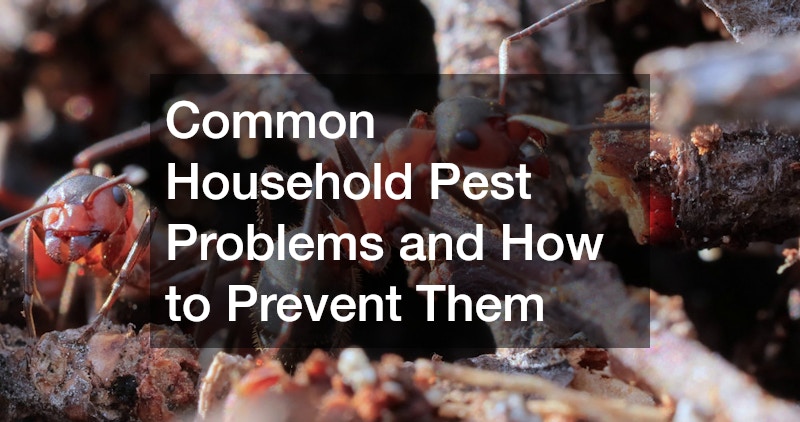 Common Household Pest Problems and How to Prevent Them
