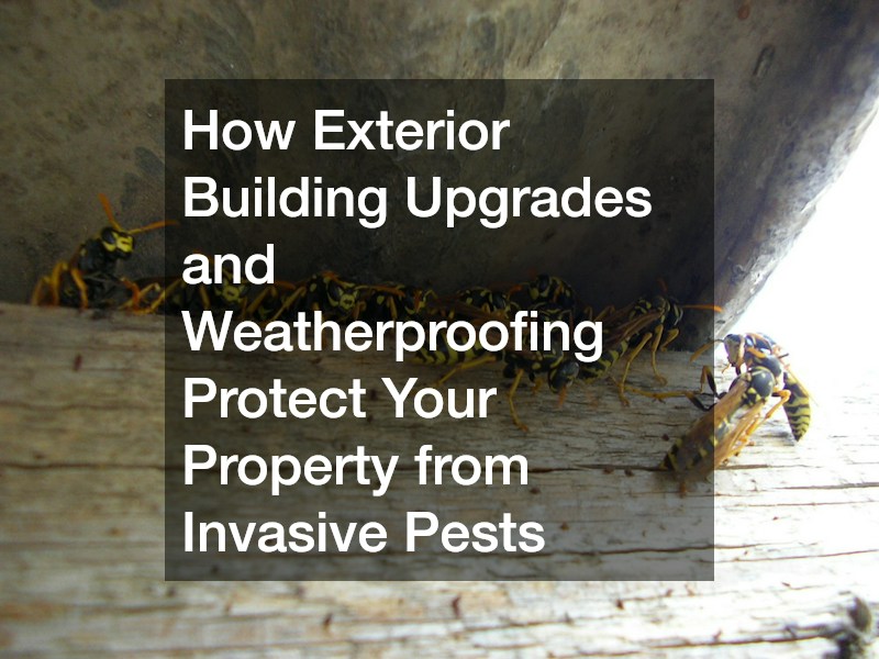 How Exterior Building Upgrades and Weatherproofing Protect Your Property from Invasive Pests